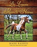 Life Lessons From A Ranch Horse,
