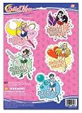 Sailormoon Magnet Set