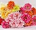10 PCS Real Touch Latex Silk Artificial fake plastic Daisy Chrysanthemum Flowers Sun Chrysanthemum,Sunflower, Simulation Gerber, Dimorphotheca,Party Room home Decoration DIY Flower Bouquet (green)
