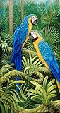 Blue & Gold Parrots. Fine Art. Signed & Numbered Limited Edition Giclee Print by Ed Usher. 16