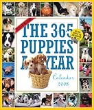 365 Puppies-A-Year Calendar 2008 (Picture-A-Day Wall Calendars)