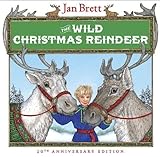 The wild Christmas reindeer