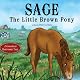 Sage, the Little Brown Pony: A Grandma's Barnyard Tale