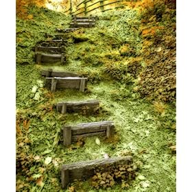 Westcott 939 6-Feet x 8-Feet Elevations Scenic Background