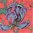 Phillip Jacobs Tulip Turquoise