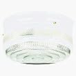 Westinghouse Light A 66238 Ceiling Fixture