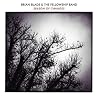 Image of album by Brian Blade