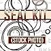 D42874 Various Cylinder Seal Kits Made for Cat 310G 350 430 450 480 680CK 750 W26B W7 +