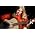 Vignette de Mary Hopkin