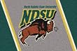 North Dakota State Bisons 3' 10" x 5' 4" Team Spirit Area Rug