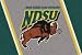 North Dakota State Bisons 3' 10" x 5' 4" Team Spirit Area Rug