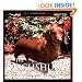 The Dachshund: A Dog for Town and Country