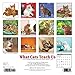 2017 What Cats Teach Us Mini Wall Calendar
