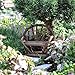 Miniature Fairy Garden Vine Twig Bench (3 Pack)