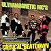 Critical Beatdown [Vinyl]