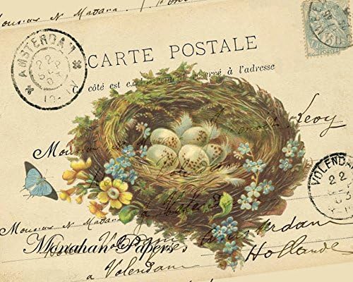 Paper Placemats Table Mats Easter Dinner Easter Decor Easter Eggs Nest Pak 50 Place Mats