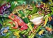 Tropical Frogs Jigsaw Puzzle 35pc