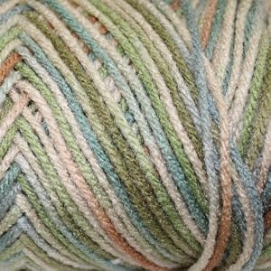 Red-Heart-Super-Saver-Yarn-Aspen-Print