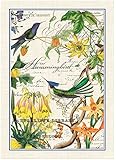 Michel Design Works Hummingbird Cotton Kitchen Towel, Multicolor