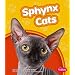 Sphynx Cats (Pebble Books)
