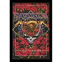 Grateful Dead 40 Years Framed - 24 x 36"