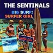 Big Surf!/Surfer Girl