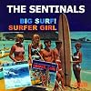 Big Surf!/Surfer Girl
