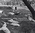 Passing Through Eden: Photographs of Central Park