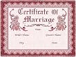 Certificate of Marriage Rose - 69 x 48 Blanket/Throw