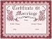 Certificate of Marriage Rose - 69 x 48 Blanket/Throw