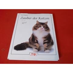 Zauber der Katzen