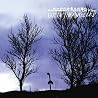Image of album by Amusement Parks on Fire