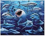 Sharks Wish You Were Here Terry Velour Deluxe Jumbo Beach Towel/Blanket