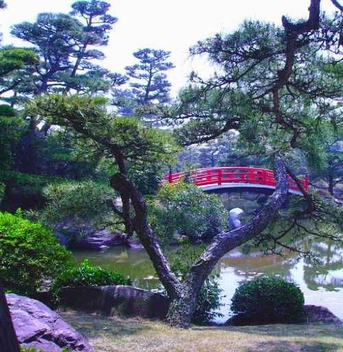 Bridge through Bonsai - 36