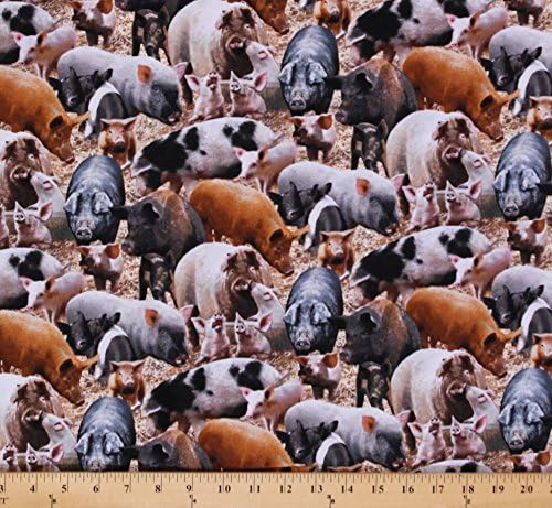 Elizabeth Studios Cotton Farm Animals Pigs Pig Sow Piglet Cotton Fabric Print by The Yard 431- Brown