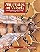 Animals at Work: How Animals Build, Dig, Fish and Trap (Animal Behavior)