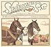 Search : Stagecoach Sal