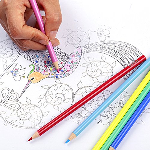 LolliZ-50-Colored-Pencils-Set