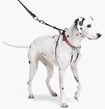 The Sporn Pull Stop Halter Leash RED ? SMALL