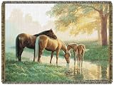 Spring Morning Horse Throw