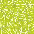 Lime Floral Pattern Gallery Wrapped Canvas - 20x20"