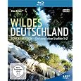 Produkt-Information 