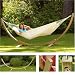 Apollo Spruce Wooden Hammock Arc Stand