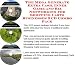The Mega Generate Extra Cash, Inner Game and Biz Networking for Shopping Carts Businesses 3 CD Combo Pack