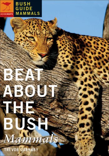 Bush