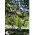 Spoon River Anthology