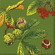 Ideal Home Range Castanea, Green Lunch Napkin,  20-Count Package (Pack of 6)