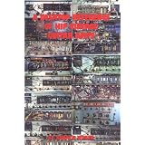 A Desktop Reference of Hip Vintage Guitar Amps (Book)