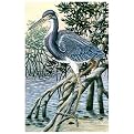 Tricolored Heron by James Harris- 17x28"
