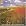 Musical Colors - works for Flute & Harp - Lauber: Four Medieval Dances Op. 45 / Marais: Le Basque / Micho Miyagi (arr Molnar): Haru no umi / Krumpholtz: Sontata for Flute and Harp, etc.
